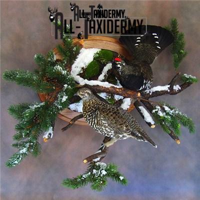 SKU 0141 Walnut Round Base - 12" - Image 27