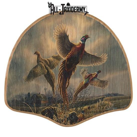 SKU 0112 Pheasant Tail Display Plaque Kit, Oak Farm Pheasant - Image 2