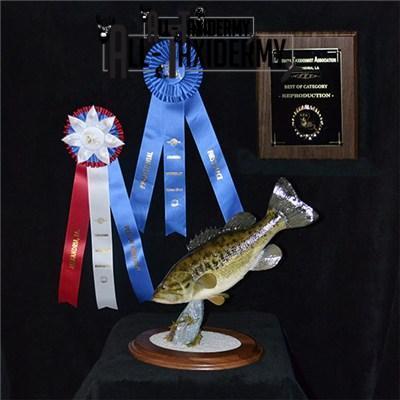 SKU 0141 Walnut Round Base - 12" - Image 23