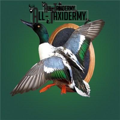 SKU 0141 Walnut Round Base - 12" - Image 20