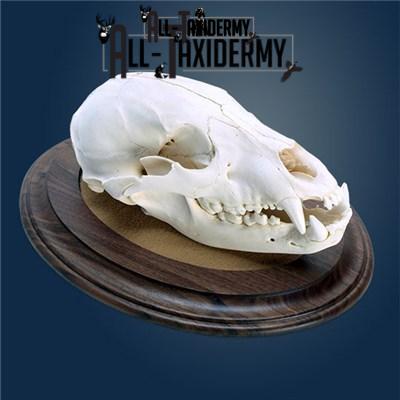 SKU 0141 Walnut Round Base - 12" - Image 19