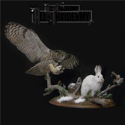 SKU 0141 Walnut Round Base - 12" - Image 12