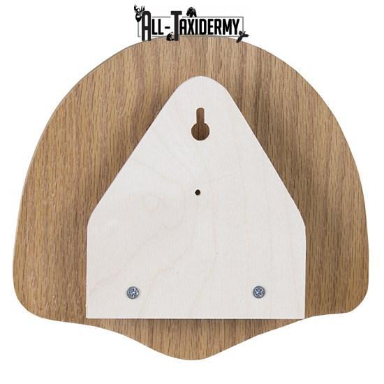 SKU 0110 Pheasant Tail Display Plaque Kit, Oak Pheasant Vignette - Image 3