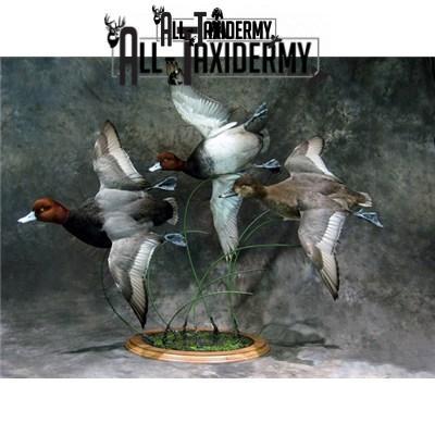 SKU 0141 Walnut Round Base - 12" - Image 9