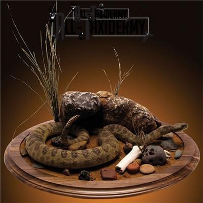 SKU 0141 Walnut Round Base - 12" - Image 7