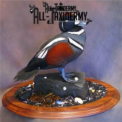 SKU 0141 Walnut Round Base - 12" - Image 6