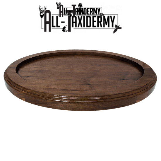 SKU 0137 Thick Walnut Oval Base - 17" x 22" - Image 33