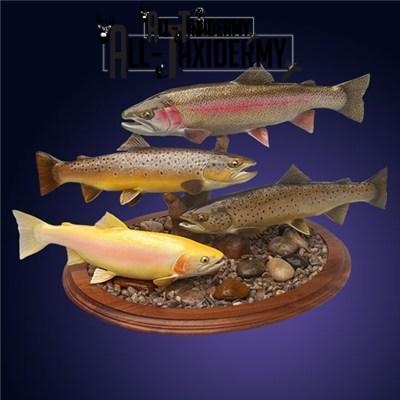 SKU 0141 Walnut Round Base - 12" - Image 5