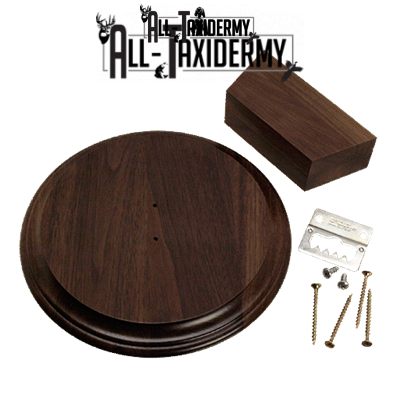 SKU 0136 Walnut Universal Display Bracket - Image 2