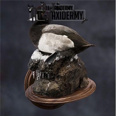 SKU 0141 Walnut Round Base - 12" - Image 4