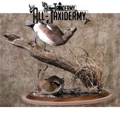 SKU 0141 Walnut Round Base - 12" - Image 3