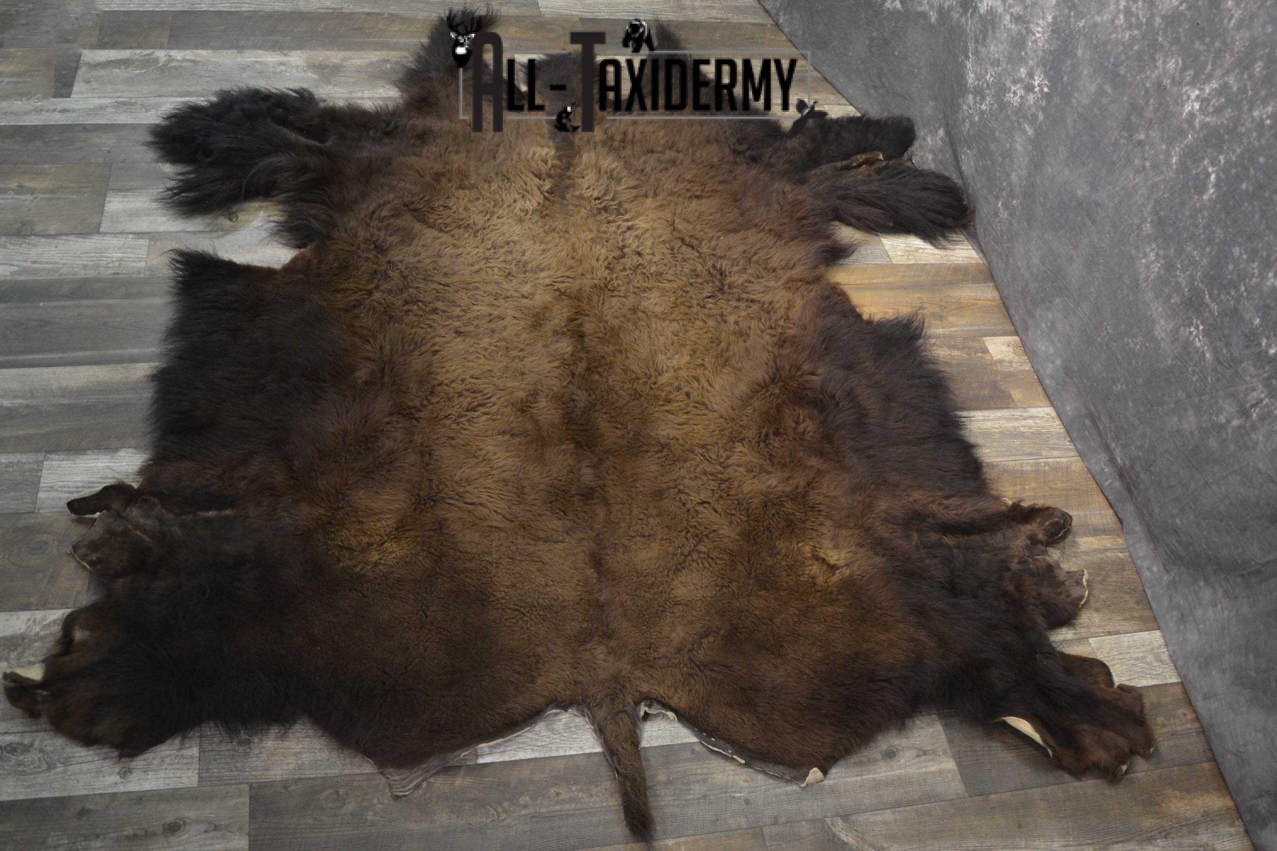 Bison Taxidermy Rug for sale SKU 1857 - Image 7