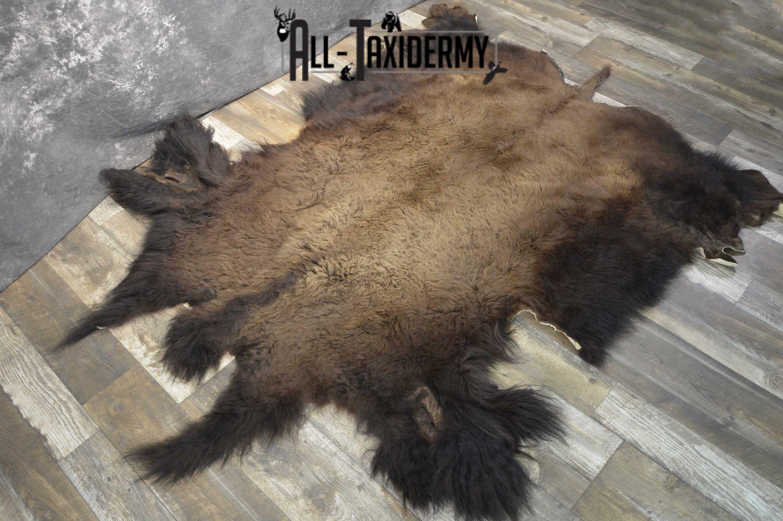 Bison Taxidermy Rug for sale SKU 1857 - Image 5