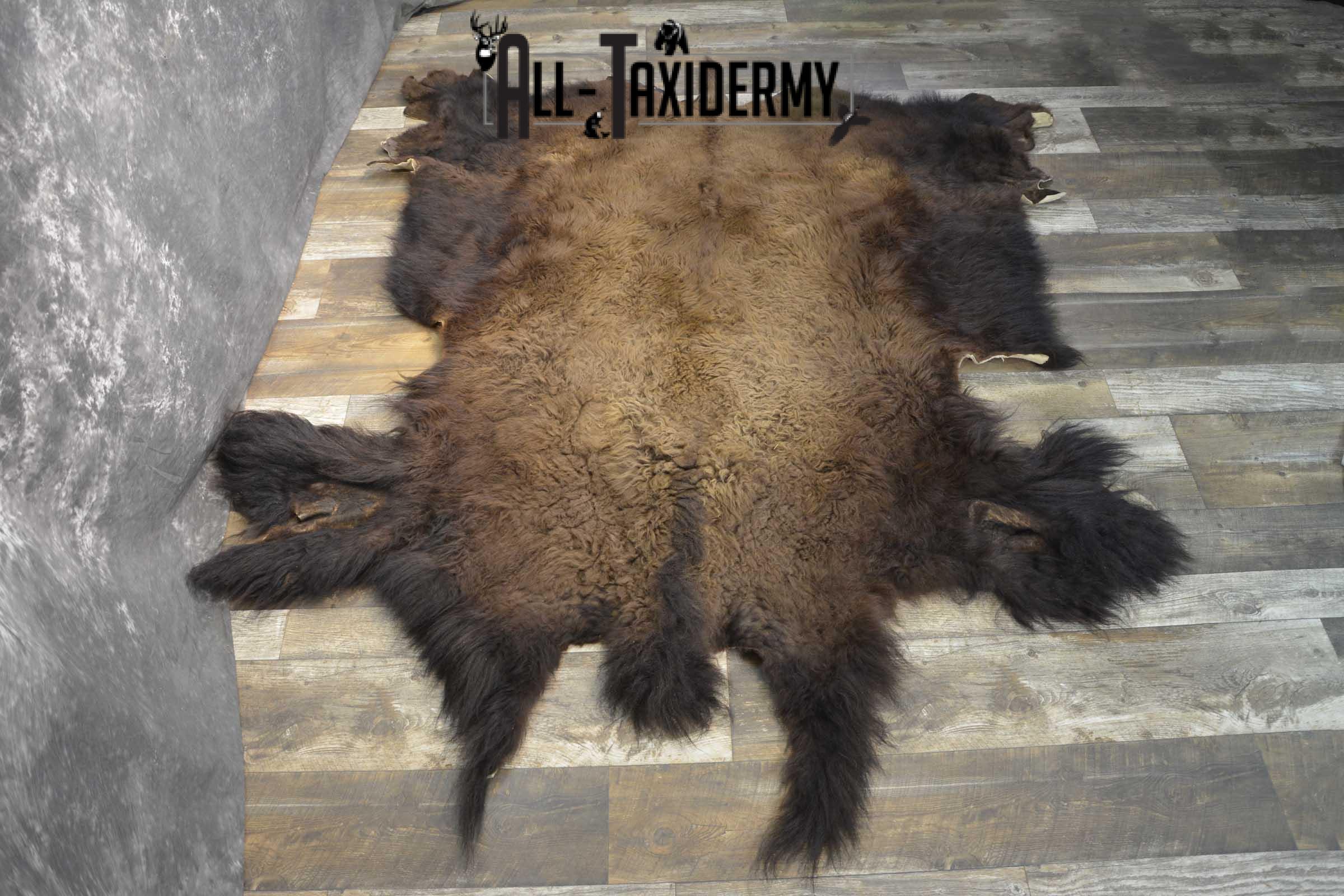 Bison Taxidermy Rug for sale SKU 1857 - Image 4