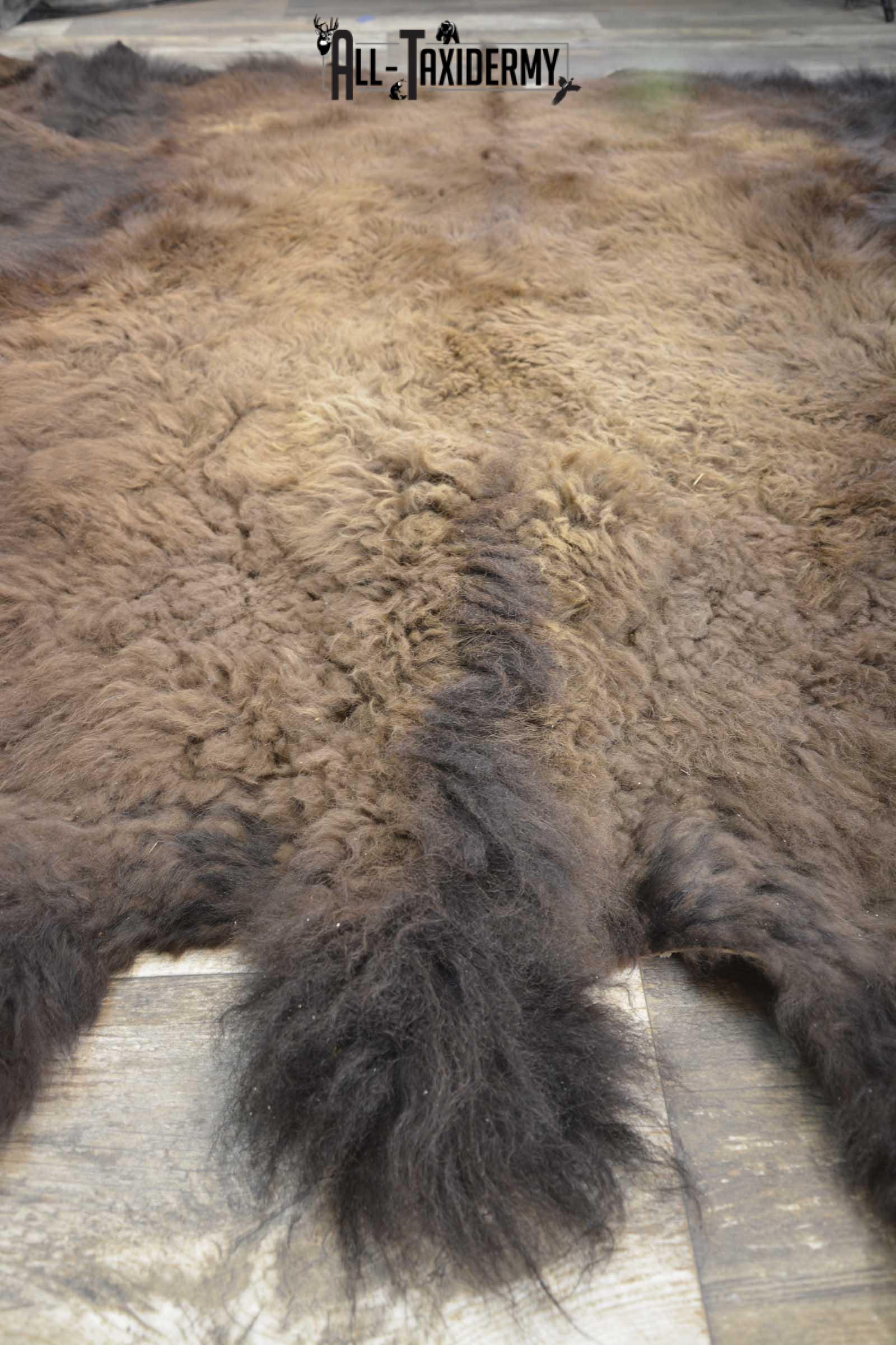 Bison Taxidermy Rug for sale SKU 1857