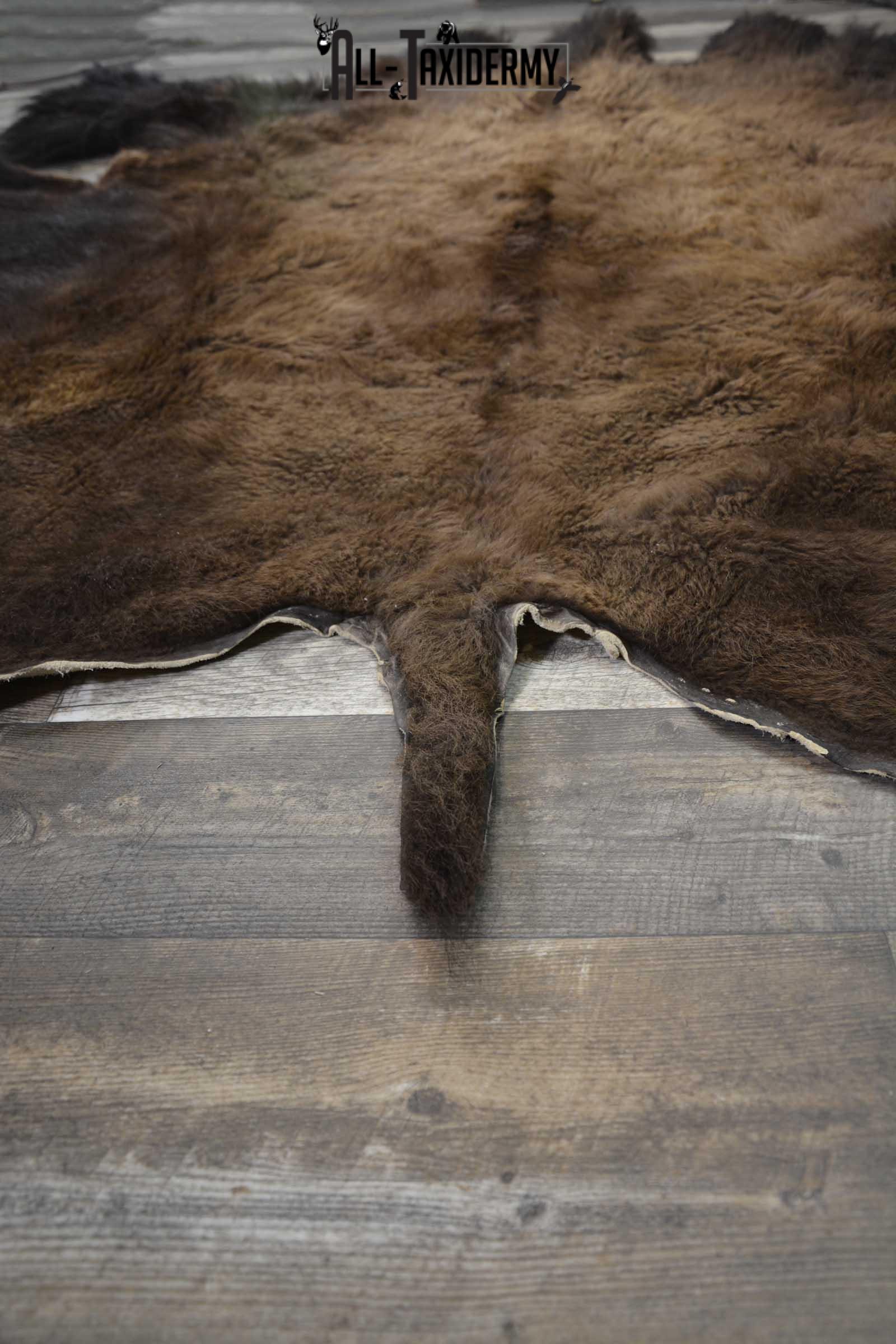 Bison Taxidermy Rug for sale SKU 1857 - Image 2