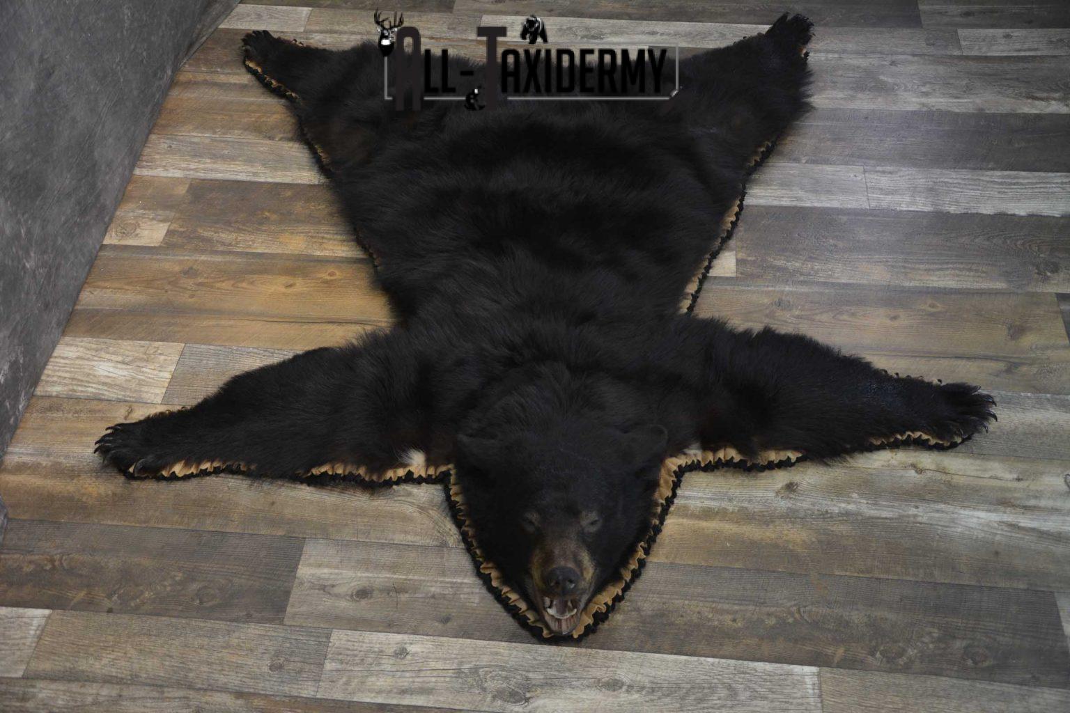 Black Bear Taxidermy Rug for sale SKU 1836 All Taxidermy