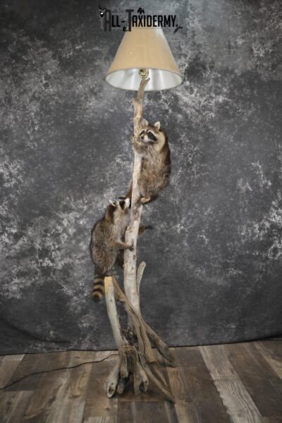 Raccoon Lampstand
