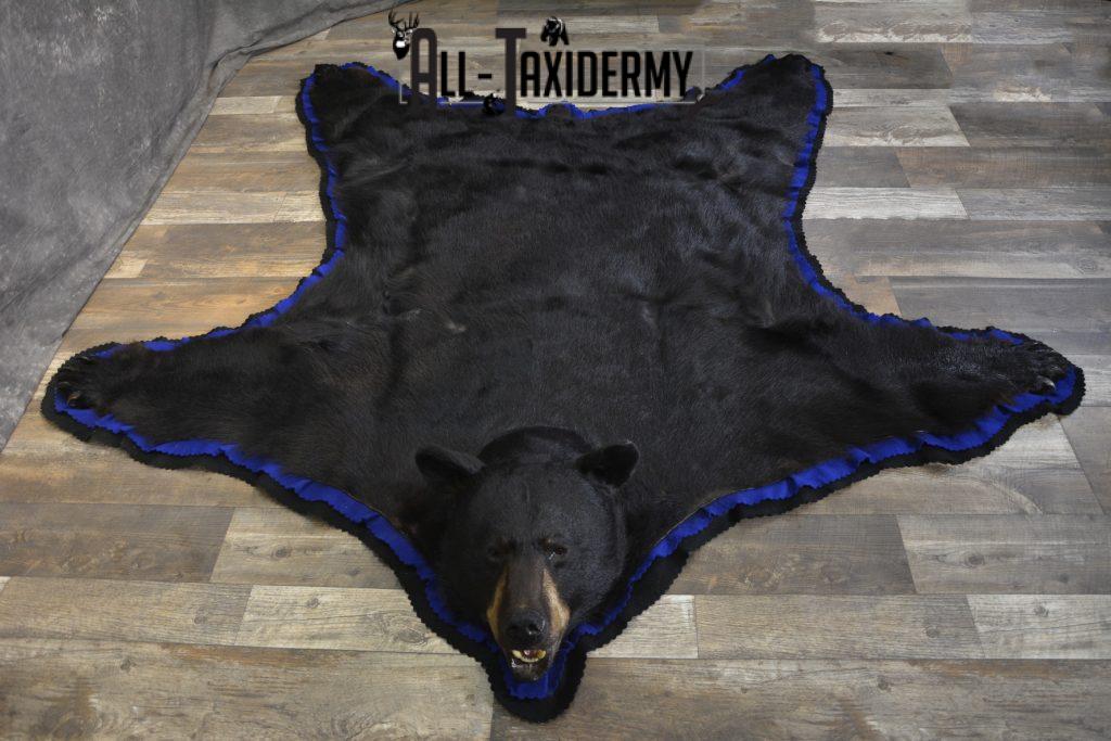Black Bear taxidermy rug for sale SKU 1925 All Taxidermy