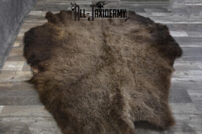 Bison Robe Hide for sale SKU 1894