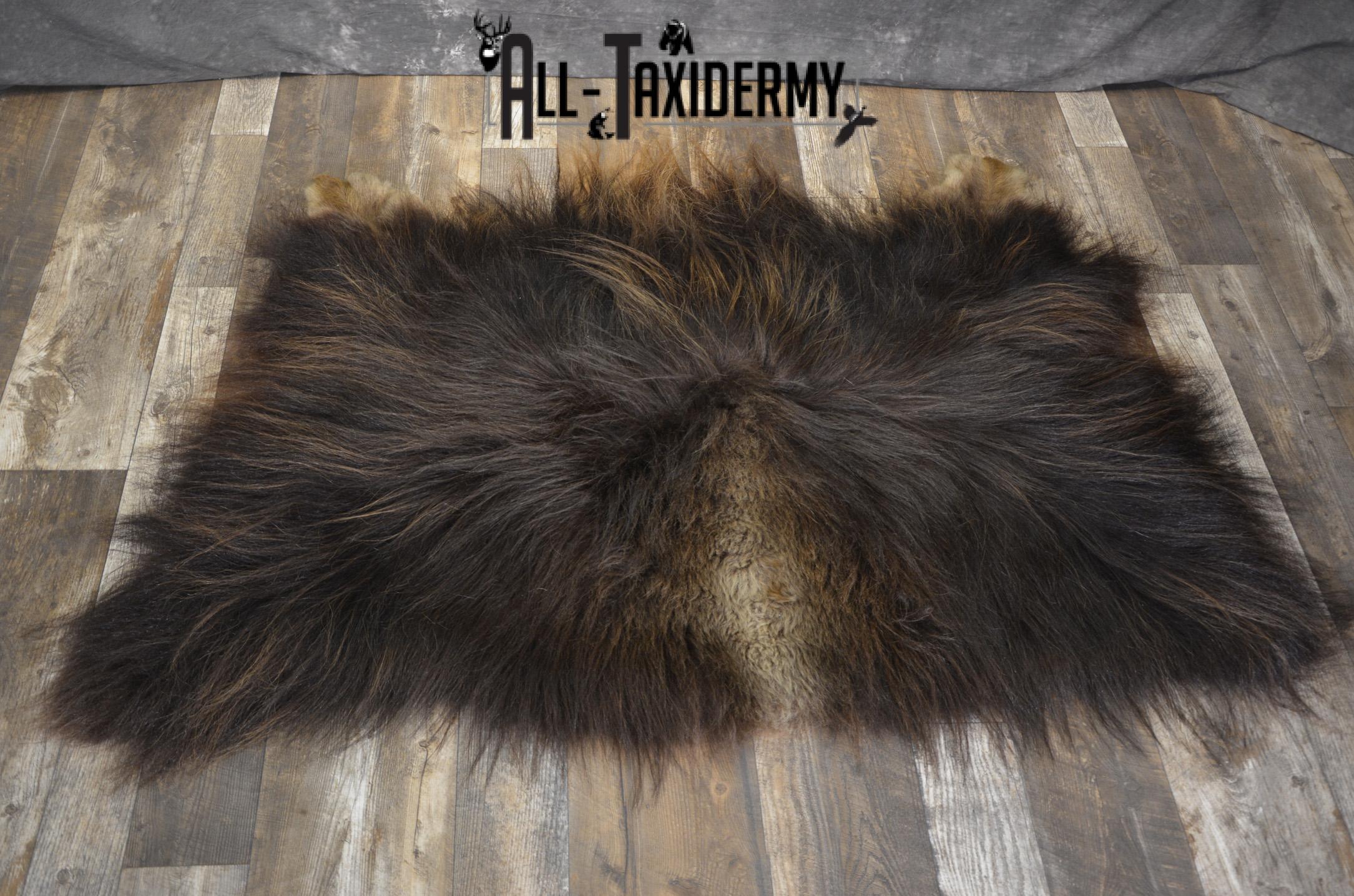 Musk Ox rear Robe Hide for sale SKU 1896 - Image 5