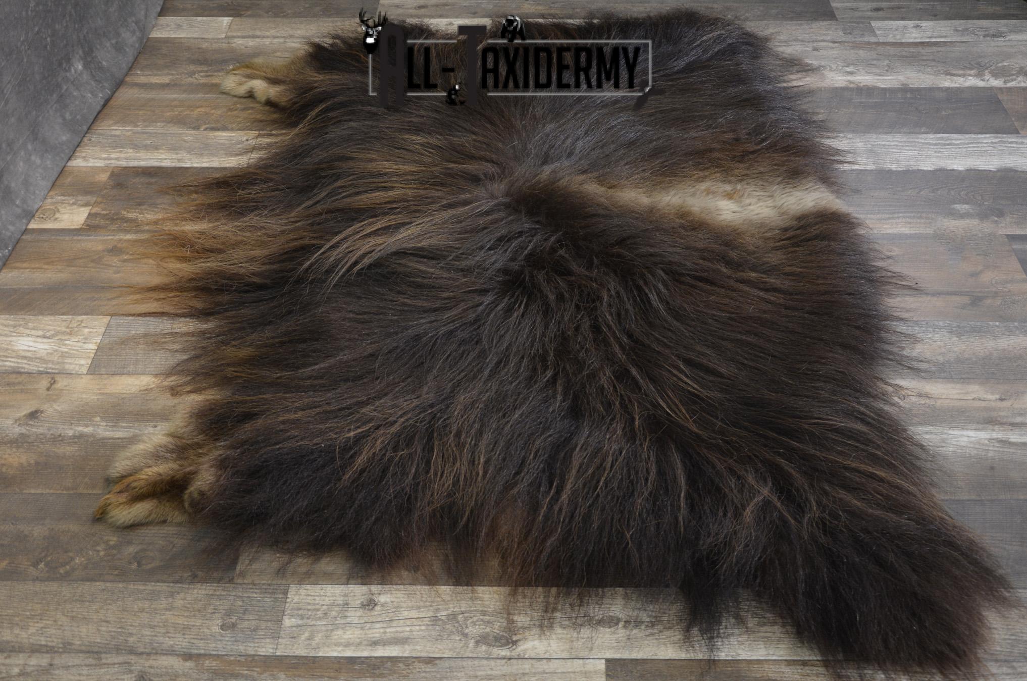 Musk Ox rear Robe Hide for sale SKU 1896 - Image 4