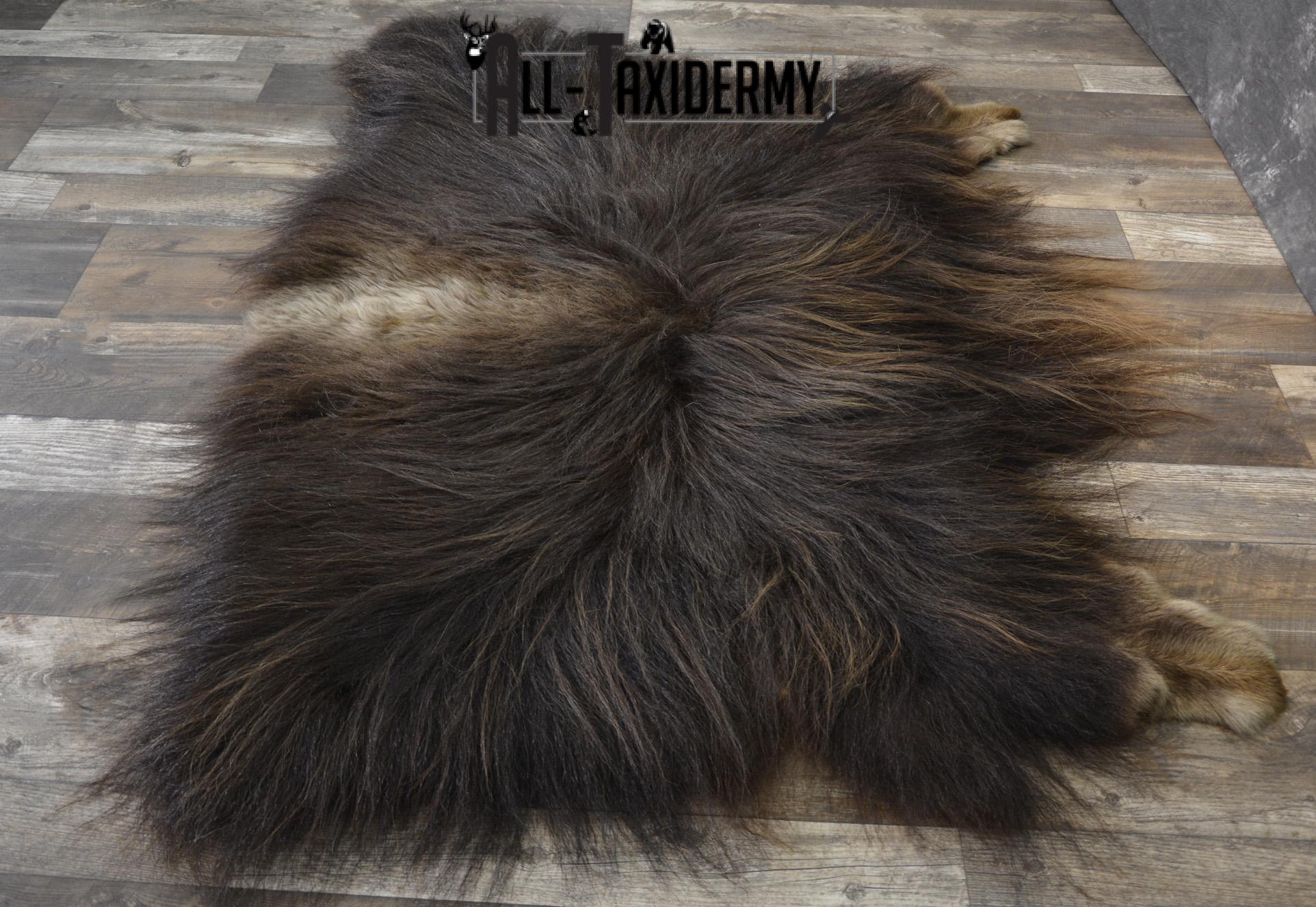 Musk Ox rear Robe Hide for sale SKU 1896 - Image 3