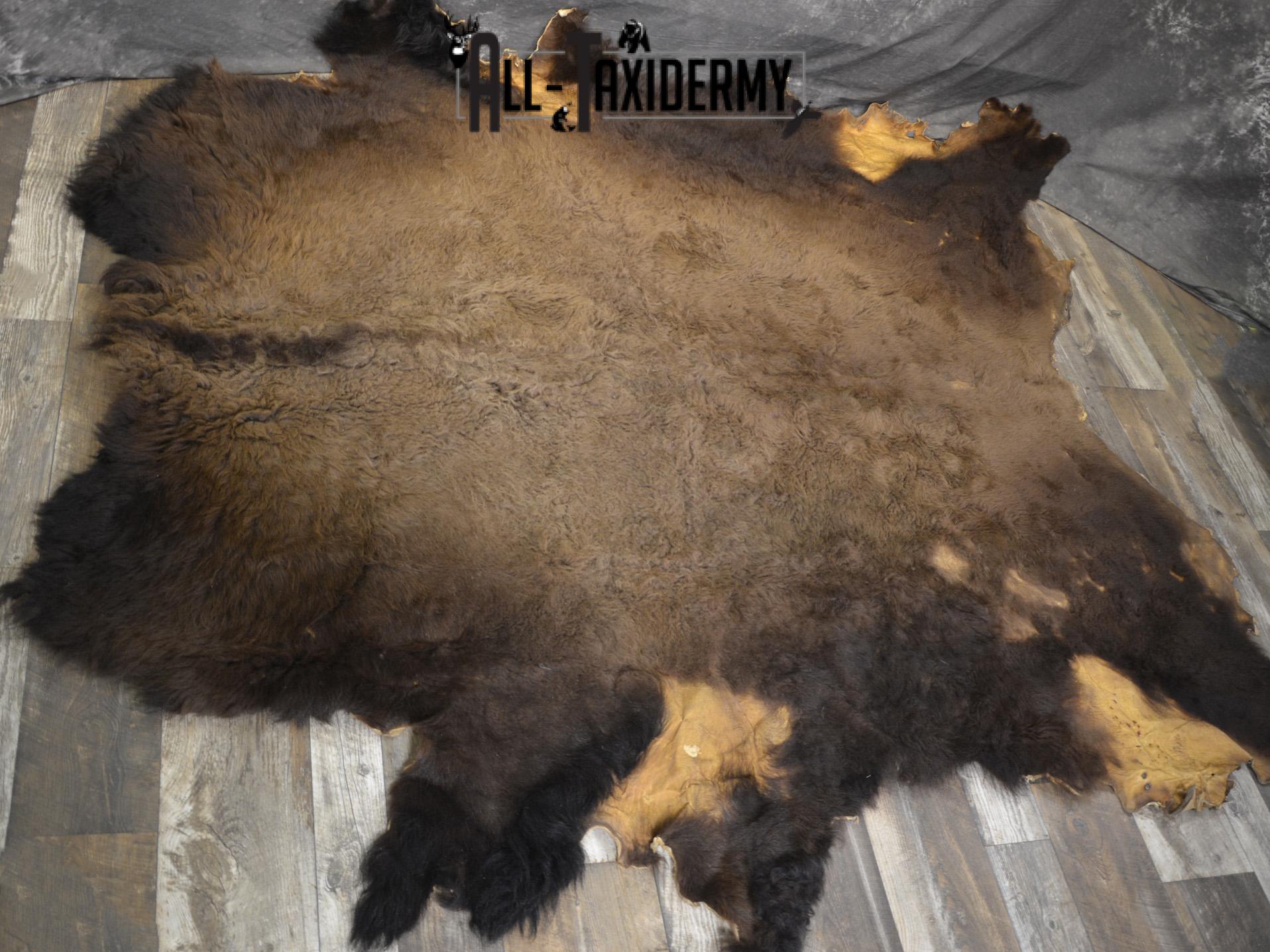 Bison Robe Hide for sale SKU 1895 - Image 8