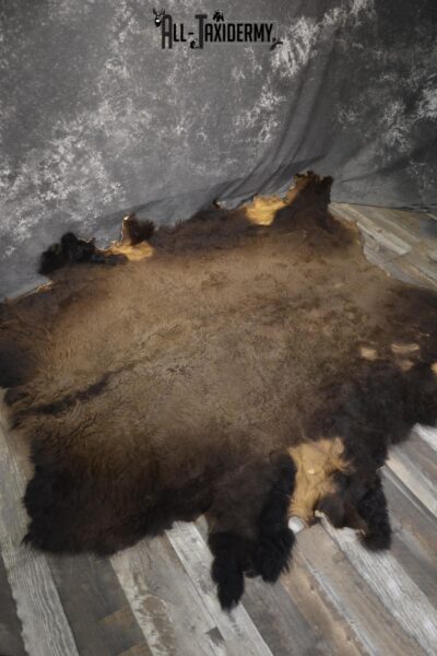 Bison Robe Hide for sale SKU 1895