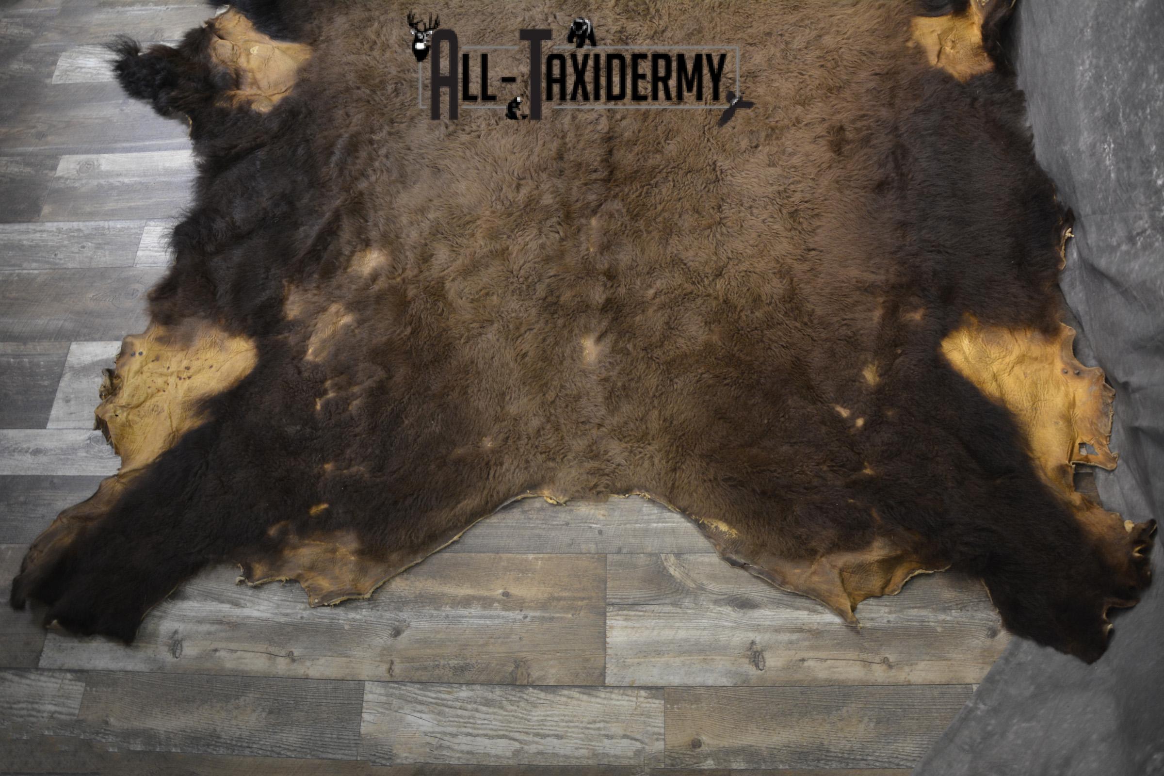 Bison Robe Hide for sale SKU 1895 - Image 6