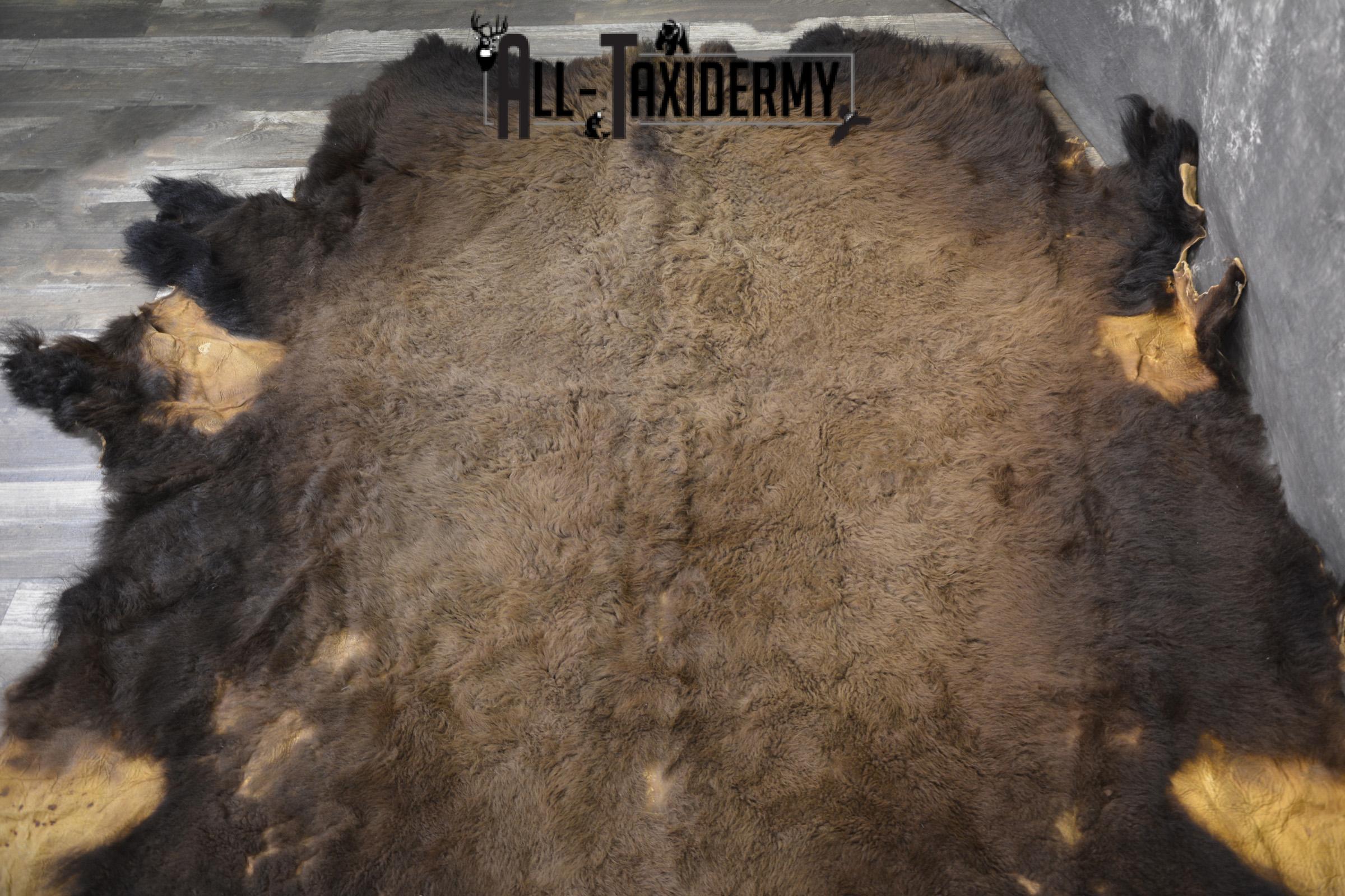 Bison Robe Hide for sale SKU 1895 - Image 5