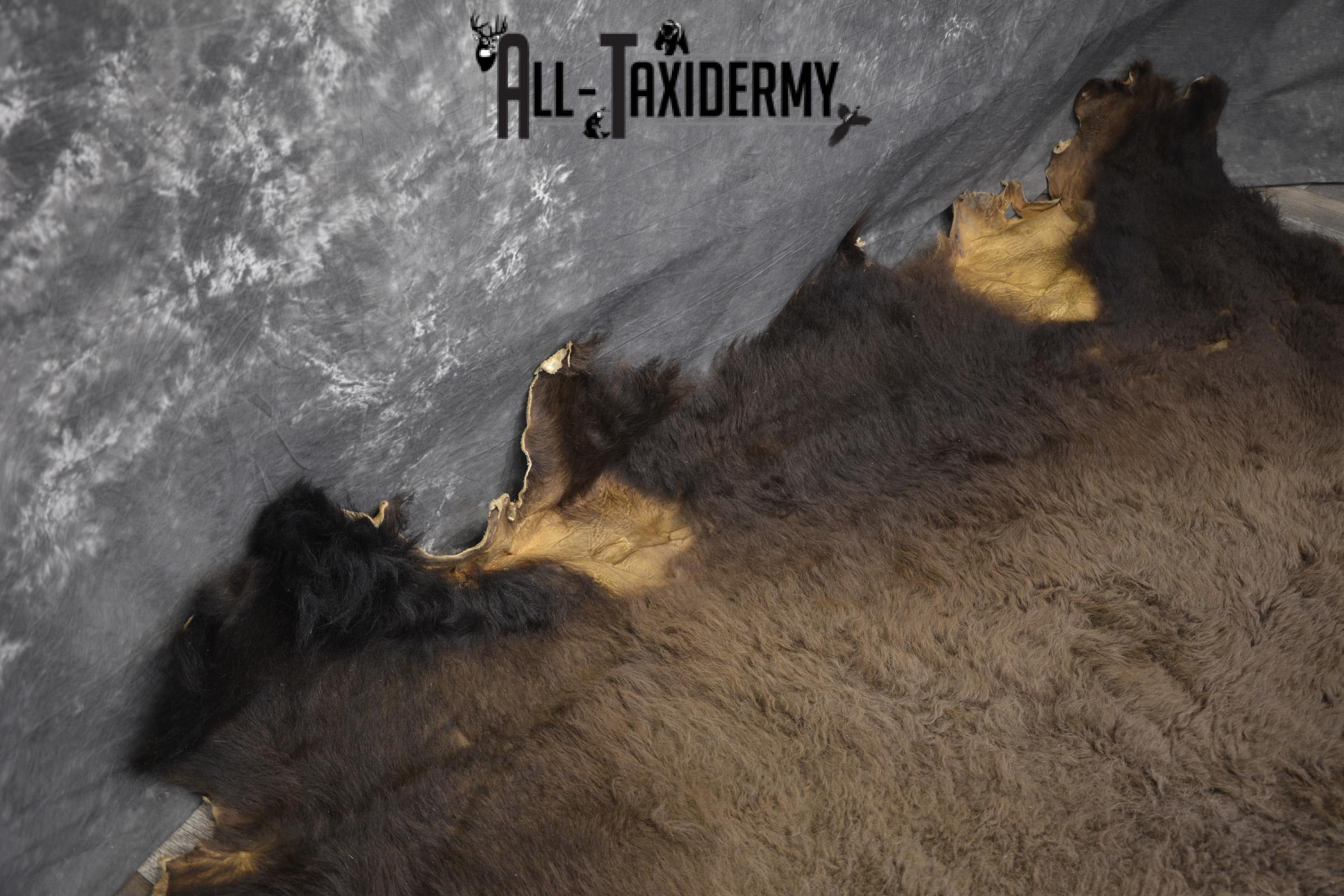 Bison Robe Hide for sale SKU 1895 - Image 4