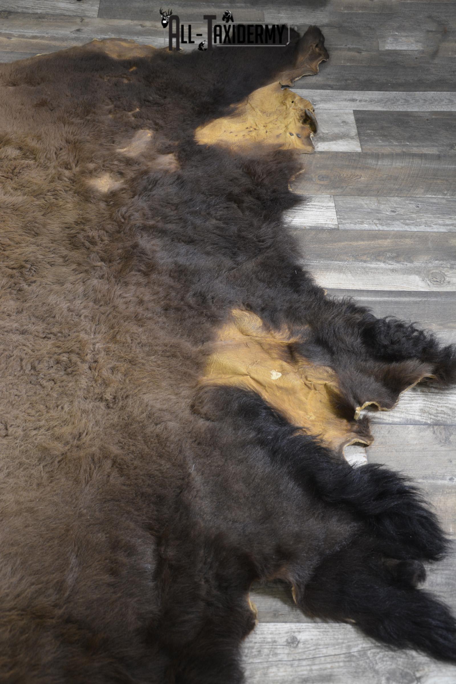 Bison Robe Hide for sale SKU 1895 - Image 3