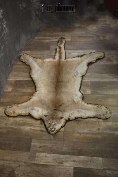 Couger Rug taxidermy mount for sale SKU 1952