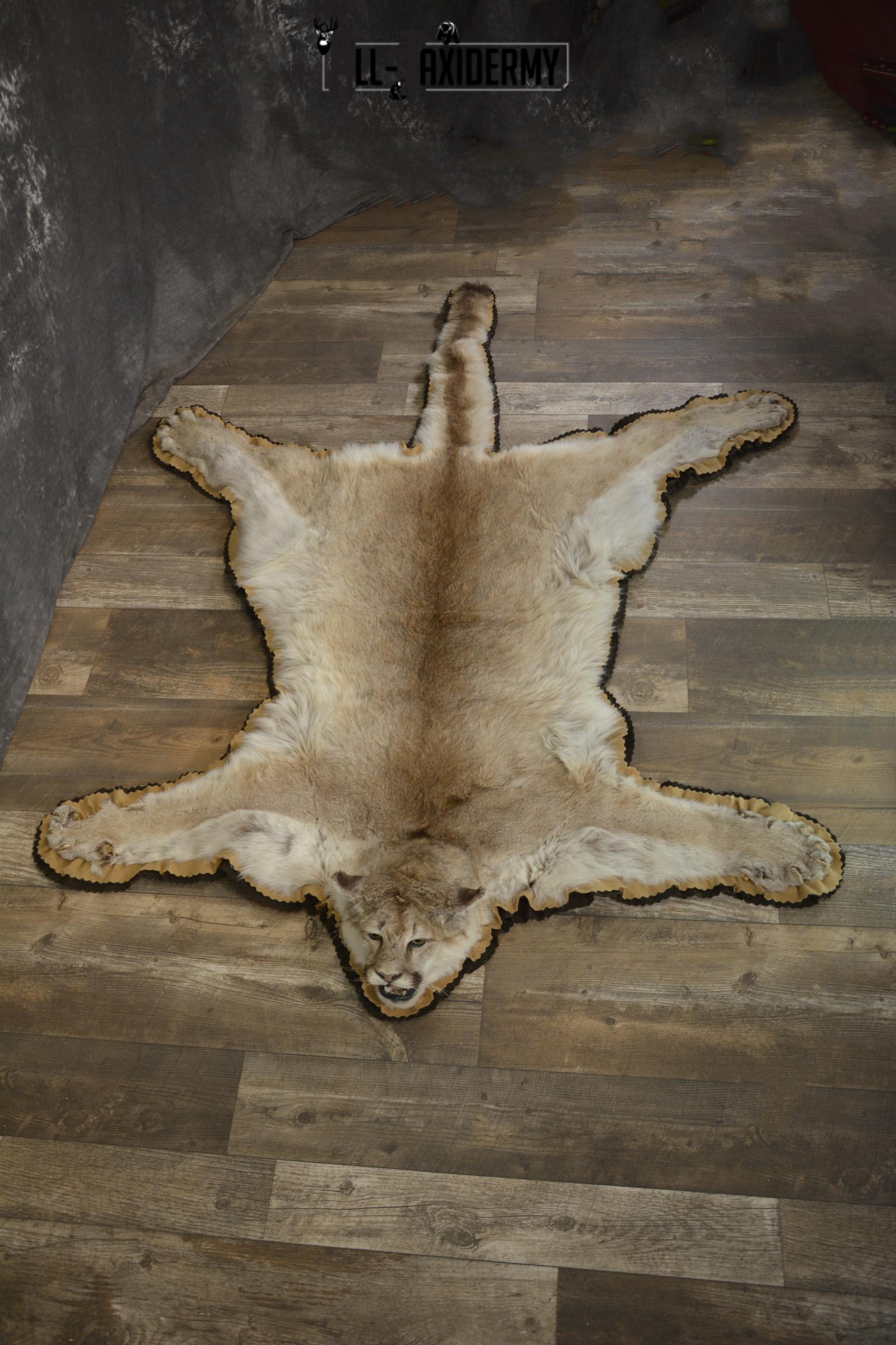 Couger Rug taxidermy mount for sale SKU 1952