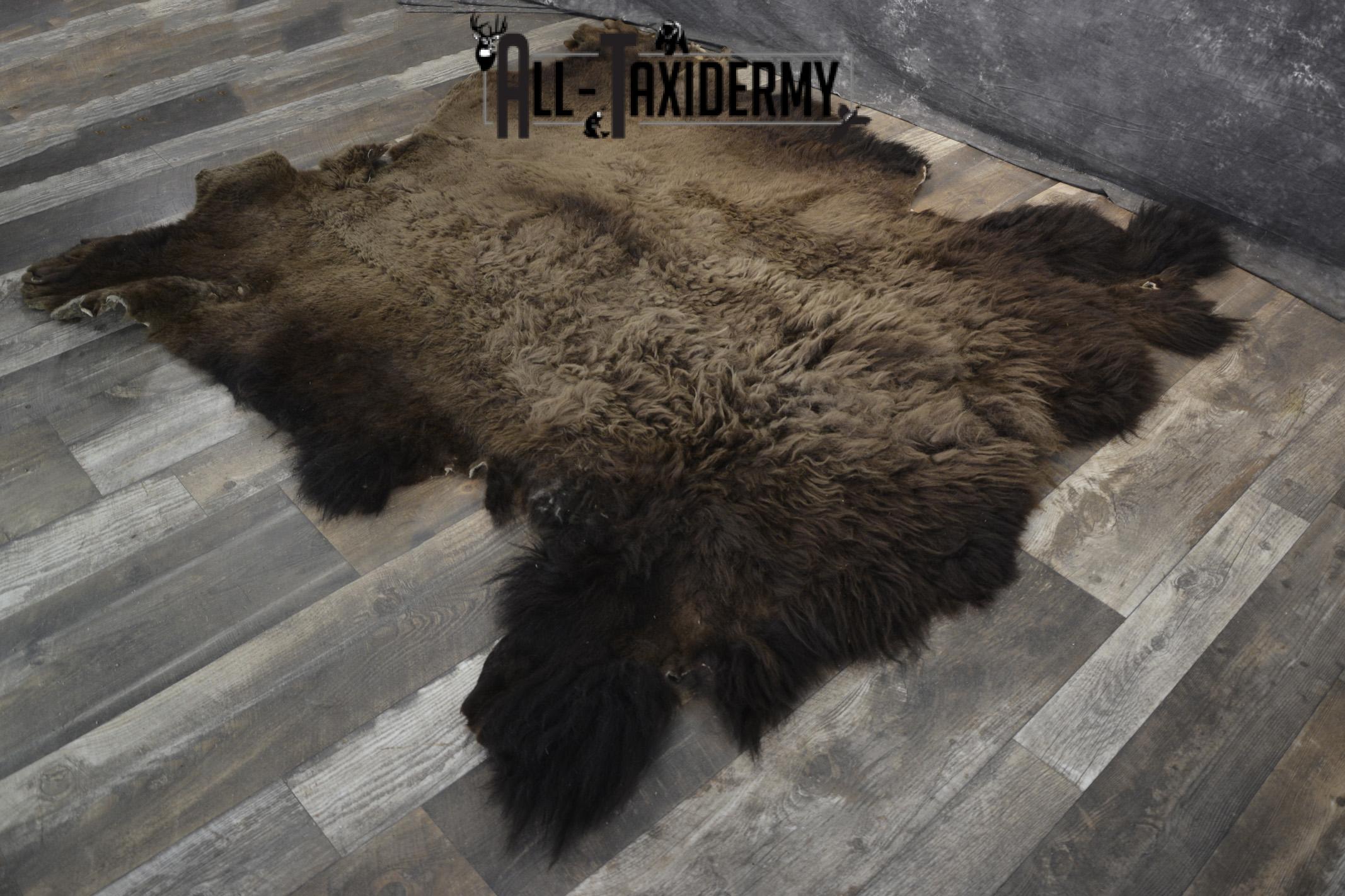 Bison Buffalo Hide taxidermy for sale * SKU 2047 - Image 2