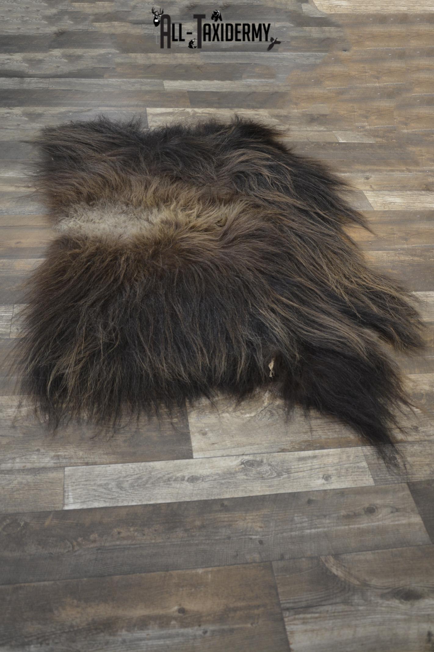 Back 1/2 Muskox taxidermy hide for sale * SKU 2008 - Image 3