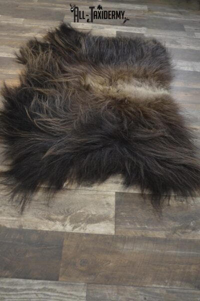 Back 1/2 Muskox taxidermy hide for sale * SKU 2008