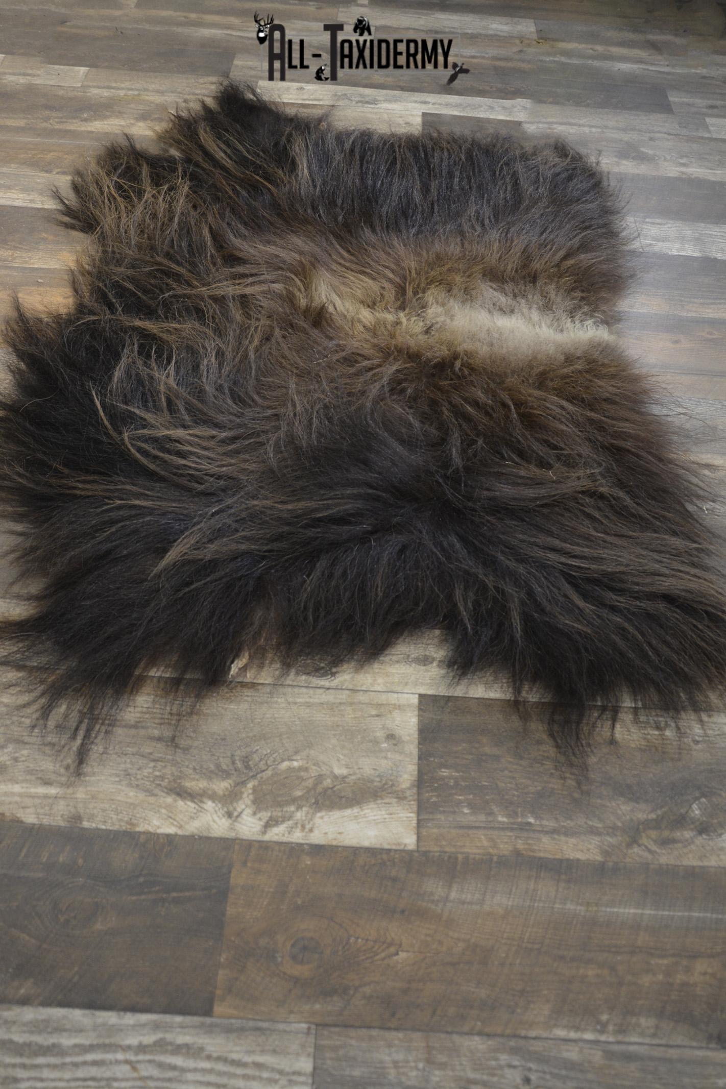 Back 1/2 Muskox taxidermy hide for sale * SKU 2008