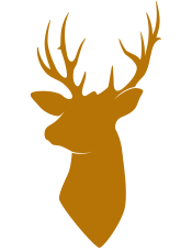 Professional Taxidermy Services