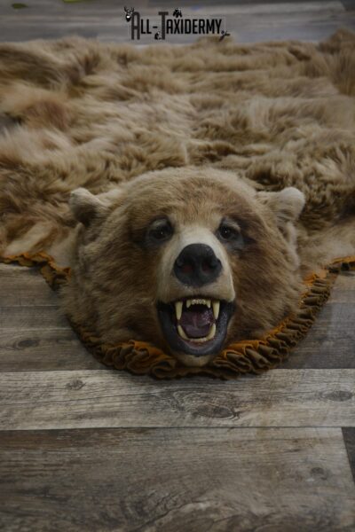 Cinnamon Black bear rug taxidermy for sale SKU 1983