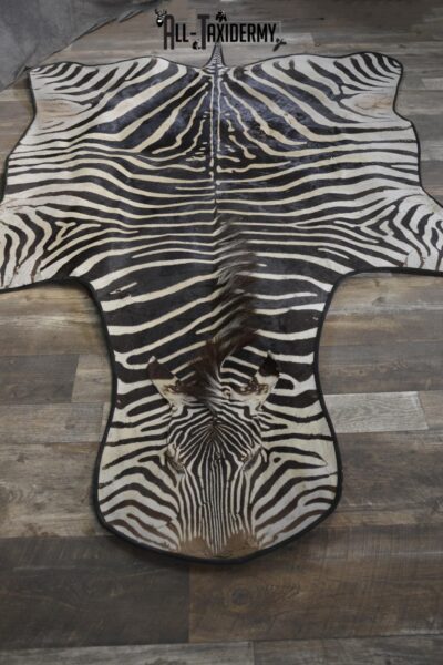 African Zebra Rug taxidermy for sale SKU 1933