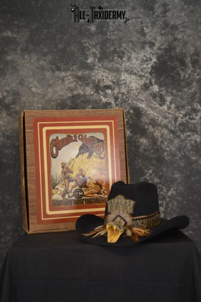 Charlie 1 horse cowboy hat for sale SKU 2100
