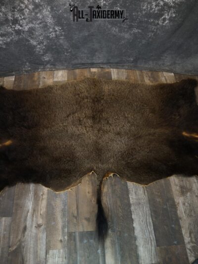 Back 1/2 Bison Hide-robe taxidermy for sale SKU 2166