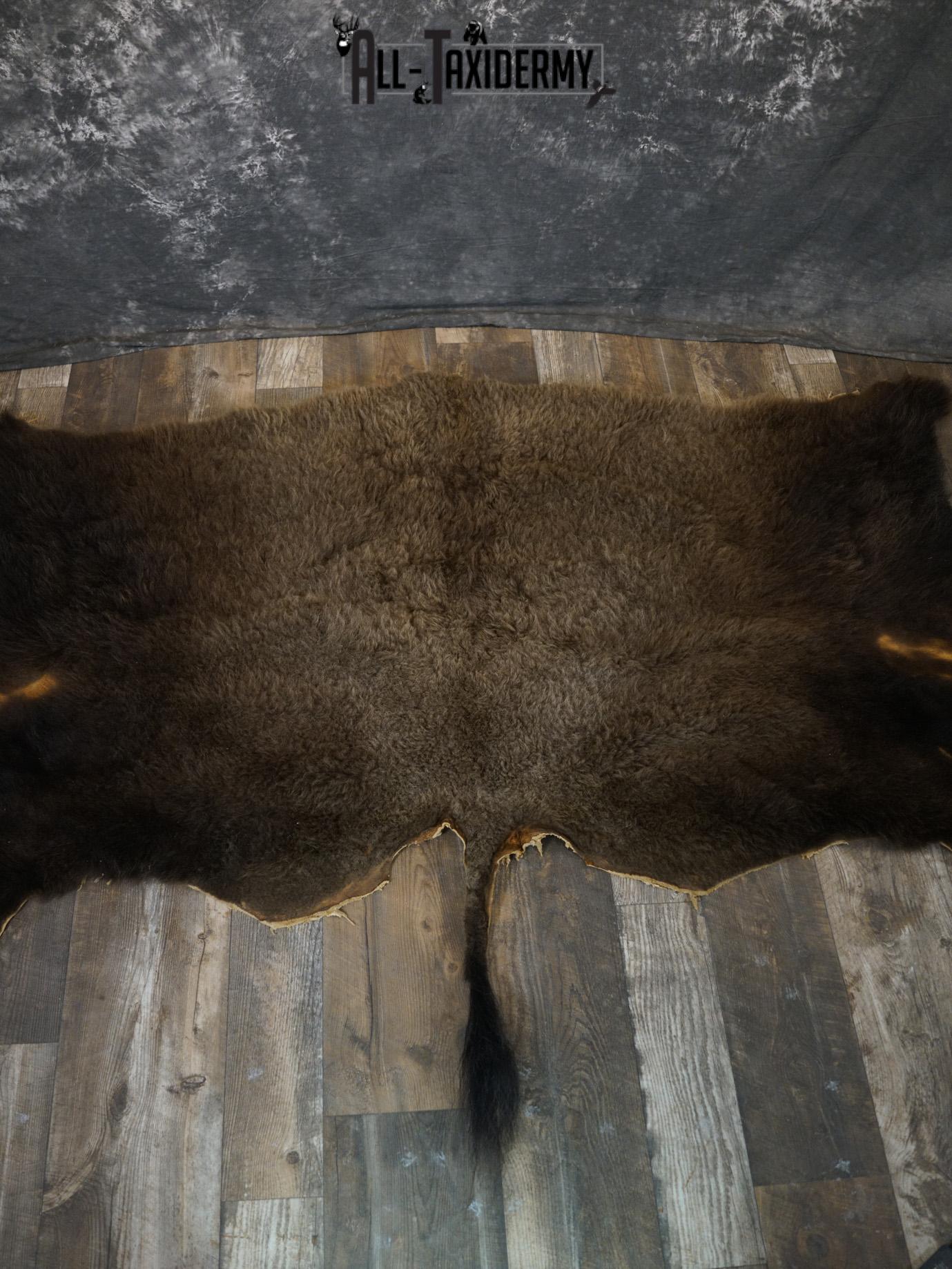 Back 1/2 Bison Hide-robe taxidermy for sale SKU 2166