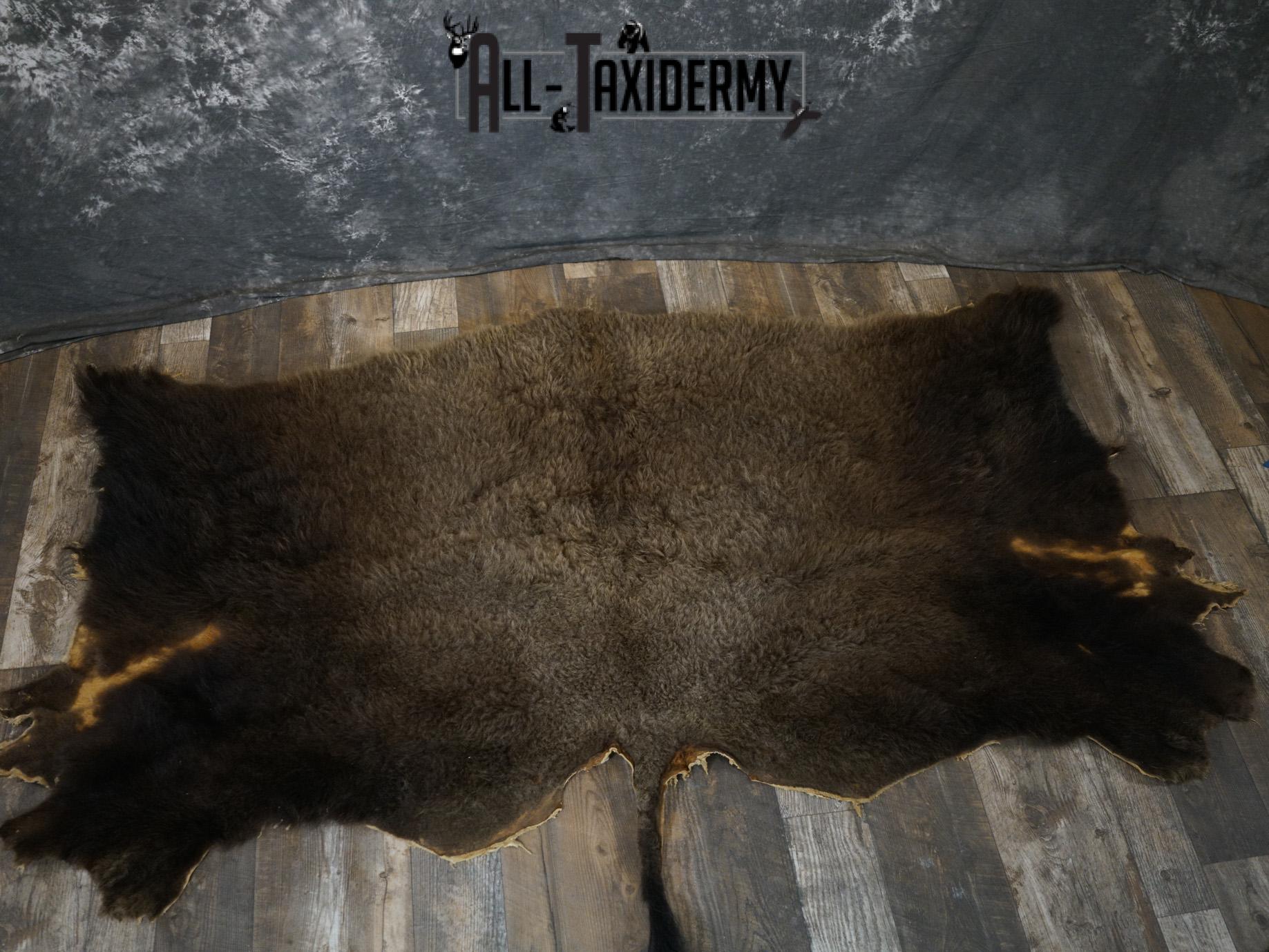 Back 1/2 Bison Hide-robe taxidermy for sale SKU 2166 - Image 10