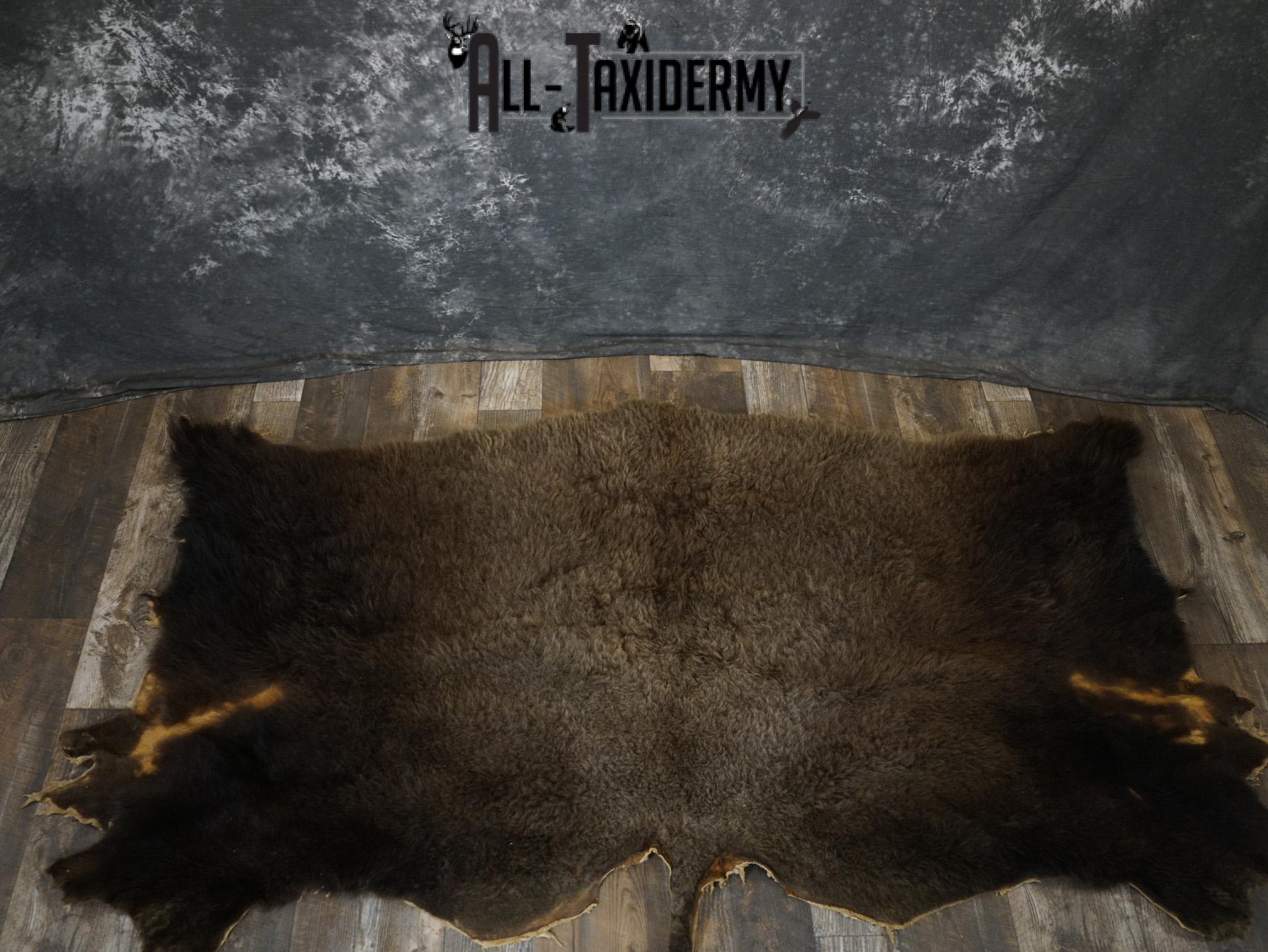 Back 1/2 Bison Hide-robe taxidermy for sale SKU 2166 - Image 9