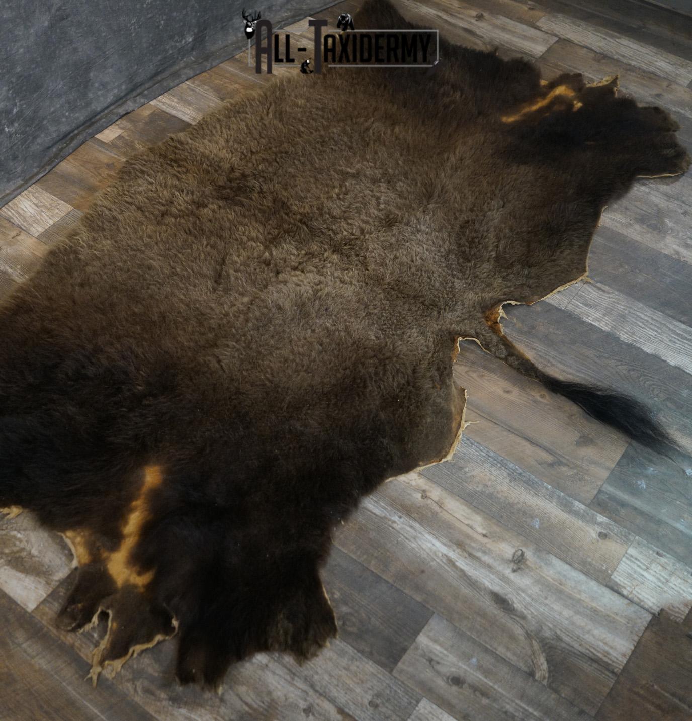 Back 1/2 Bison Hide-robe taxidermy for sale SKU 2166 - Image 8