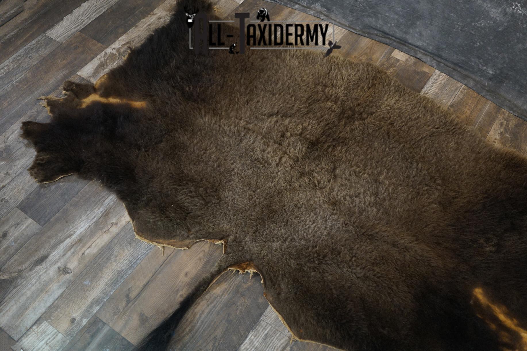 Back 1/2 Bison Hide-robe taxidermy for sale SKU 2166 - Image 7