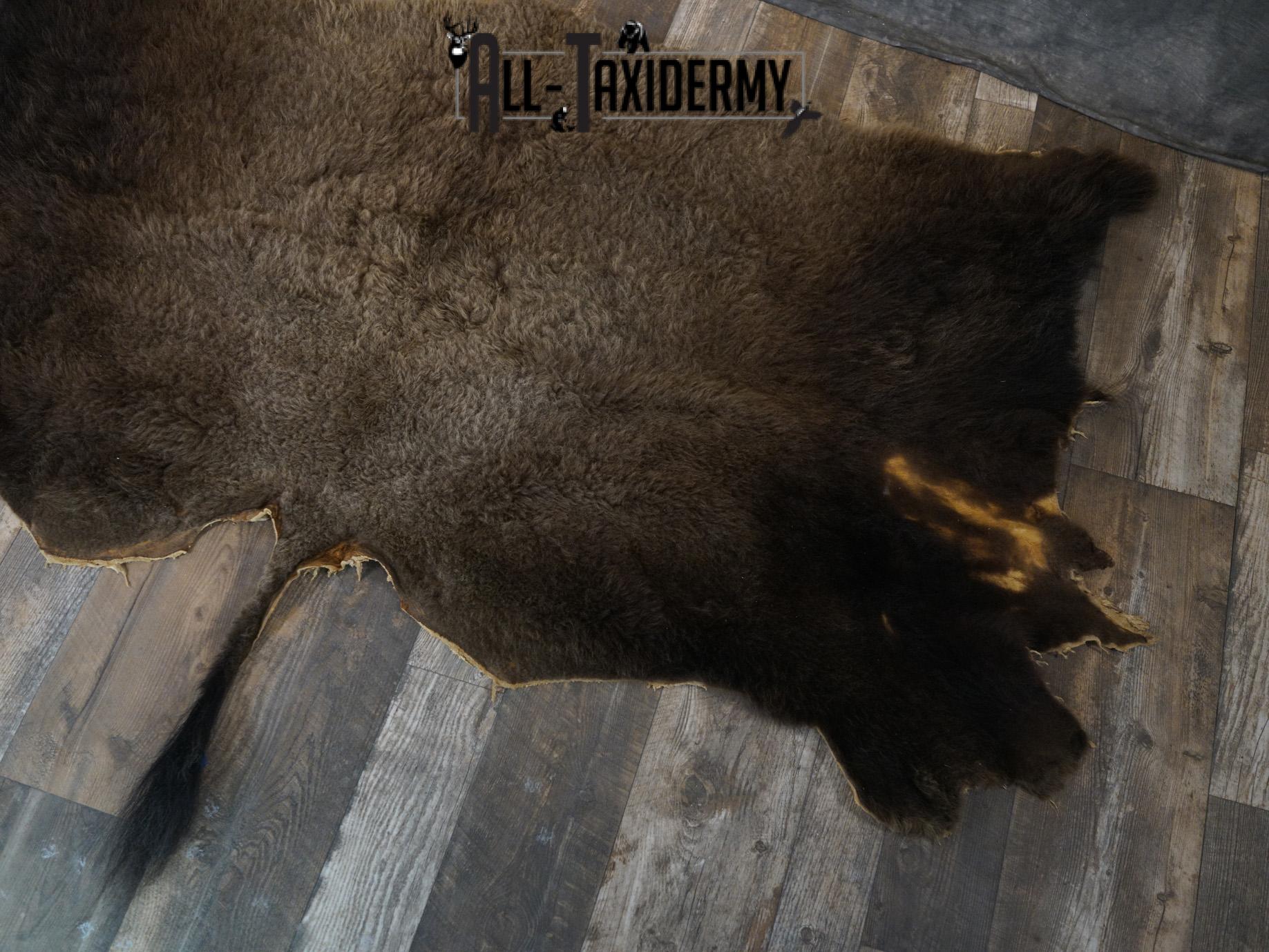 Back 1/2 Bison Hide-robe taxidermy for sale SKU 2166 - Image 6